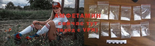 скорость Ельня