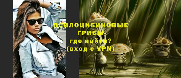 скорость Ельня