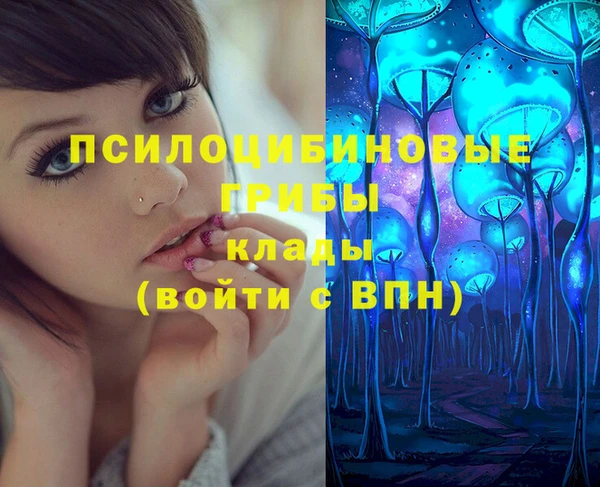 скорость Ельня
