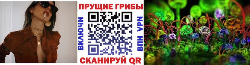 Псилоцибиновые грибы GOLDEN TEACHER Купить Невельск